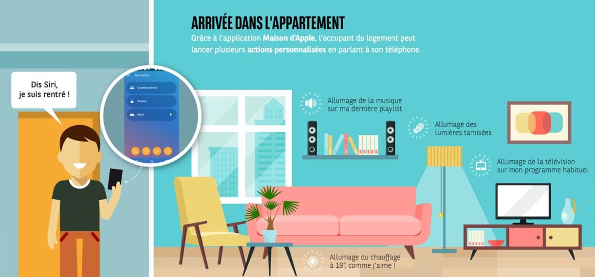 cwn infographie appartement 1155x700