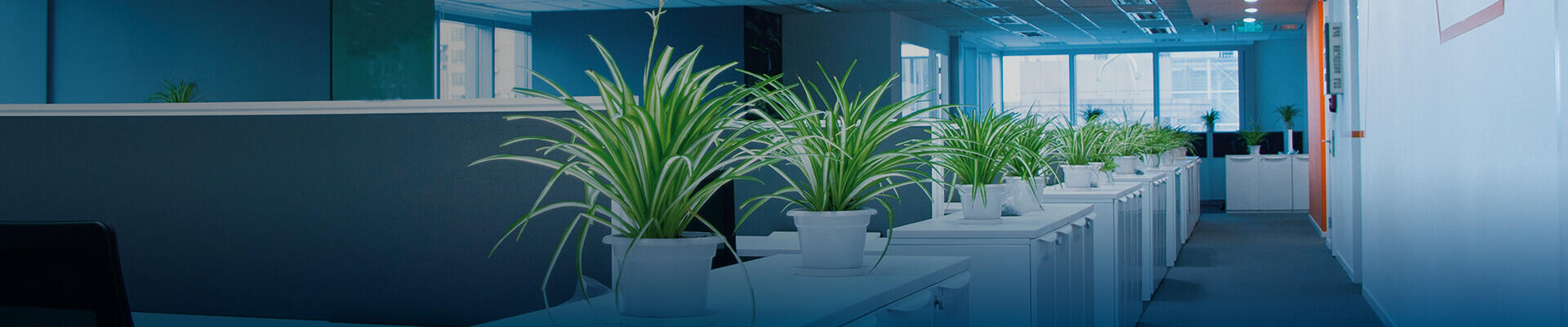 Solutions dédiées pour vos besoins les plus simples