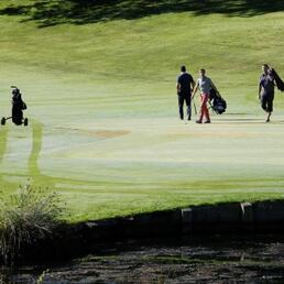 pro actu legrand golfe med05 3