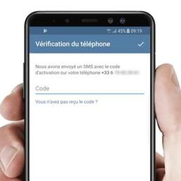 renseignements telegram code 350x350
