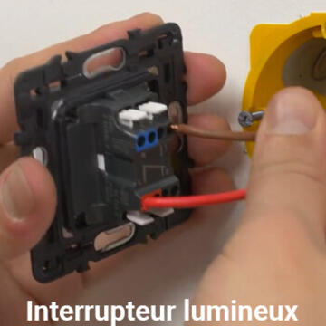 Schéma et branchement d'un bouton poussoir lumineux sans neutre