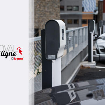 Les intervenants sur le marché de l'IRVE