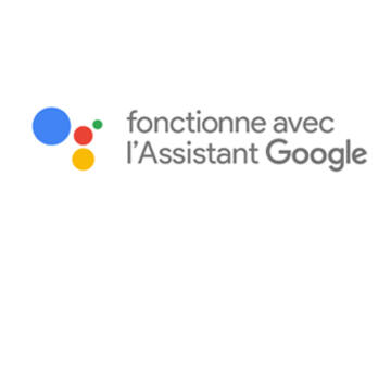 logo assistant googlet 350x350