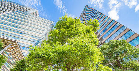 bulding moderne arbre ciel 700x360 0