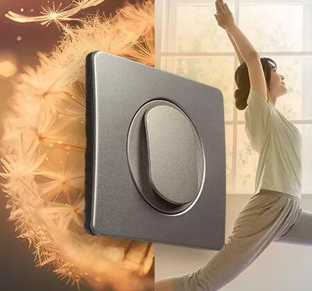 celiane inter simple 450x420