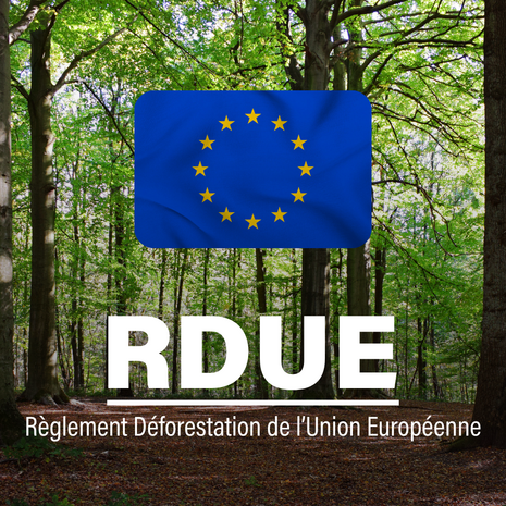 legrand eudr reglement deforestation regulation