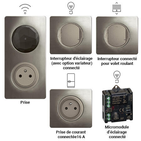 prise control inter vr prise micromodule titane icones cwn 450x450