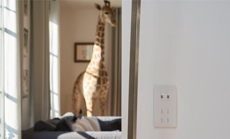 Prises et interrupteurs design, mariez élégance et fonctionnalités