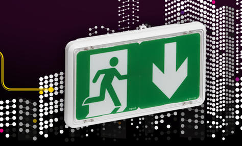 Formation Legrand : Système d’éclairage de sécurité SATI connecté - 209