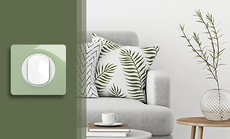 Meilleur interrupteur : Céliane, la valeur sûre