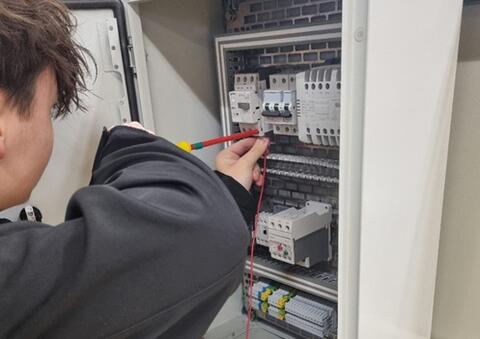 Mise aux normes électriques d’un bâtiment agricole : un poulailler