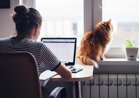 Chauffage central : les solutions Legrand