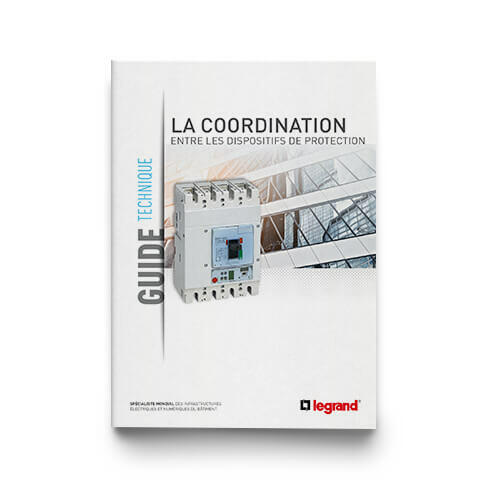 Outils Documentation professionnelle Guide coordination entre les dispositifs de protection