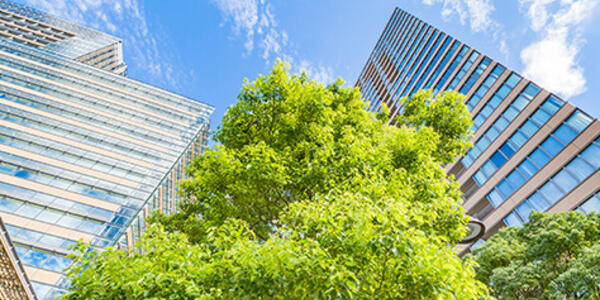 bulding moderne arbre ciel 474x287
