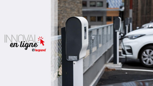 Les intervenants sur le marché de l'IRVE