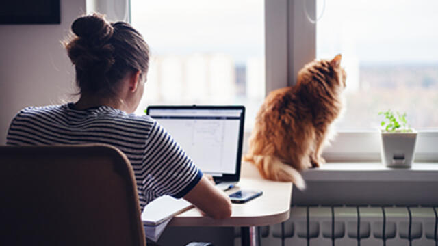 Chauffage central : les solutions Legrand
