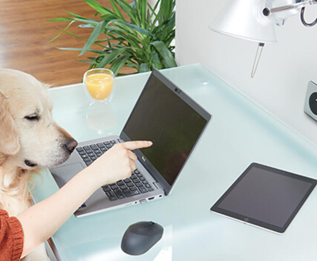 bureau prise double usb 700x350