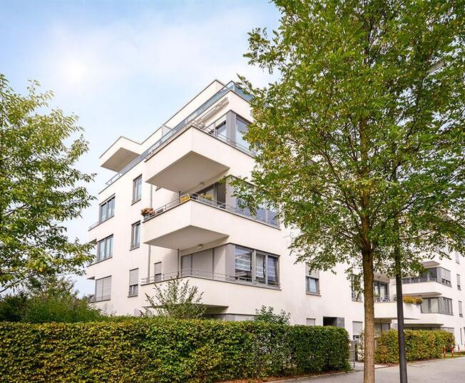 immeuble arbres 938x569