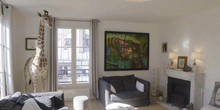 appartement appart parisien salon