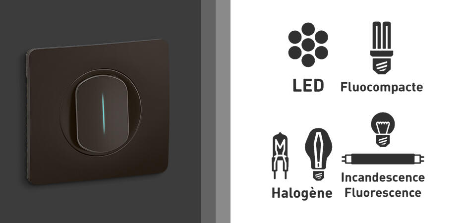 pictos lampes compatibles inter temoin 930x450