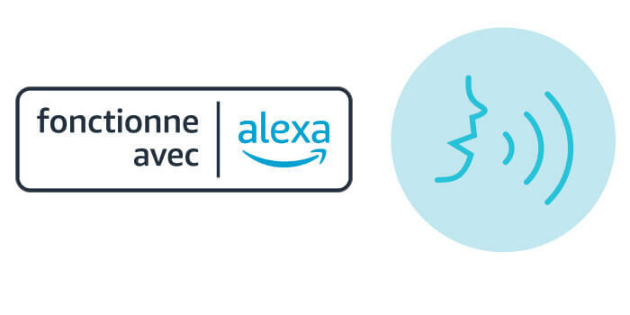 assistant vocal alexa 700x350