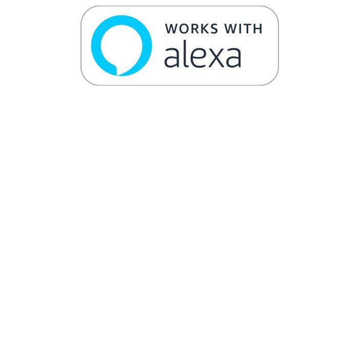 badge alexa 700x700