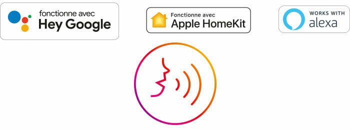 badges compatible commande vocale 700x260