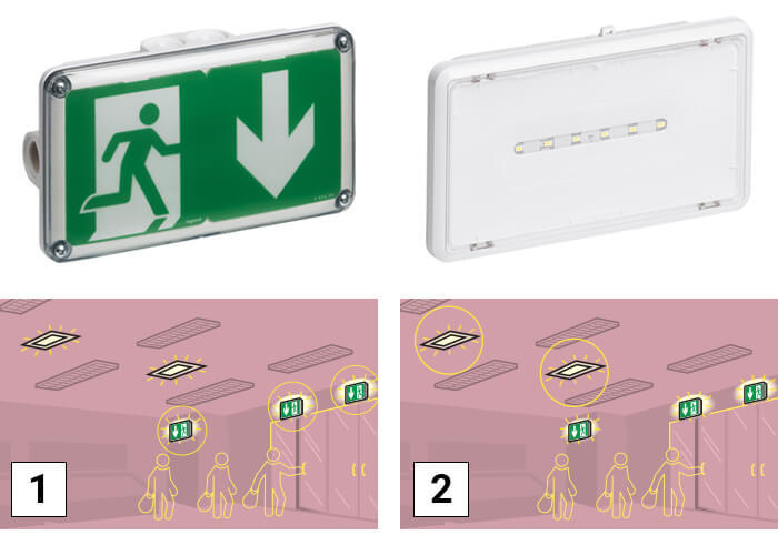 eclairage evacuation et ambiance baes 700x500