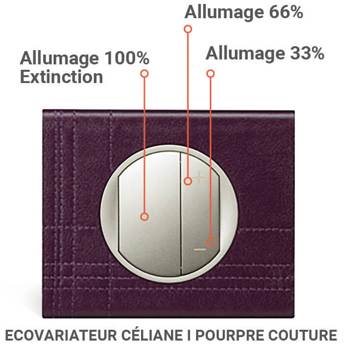 ecovariateur cuir pourpre couture 700x700