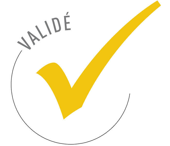 icon valider 700x600