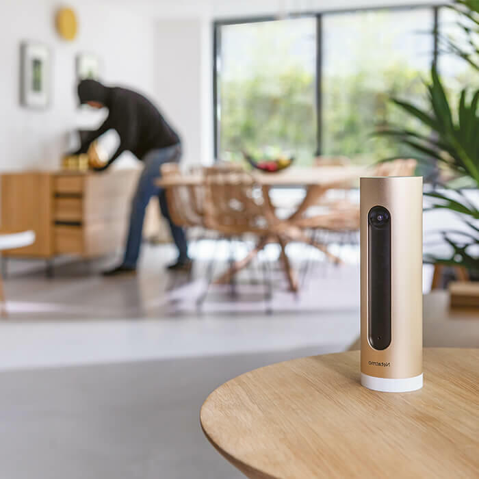 Système d'Alarme Vidéo Intelligent Netatmo : 3 produits en 1 -  professionnel