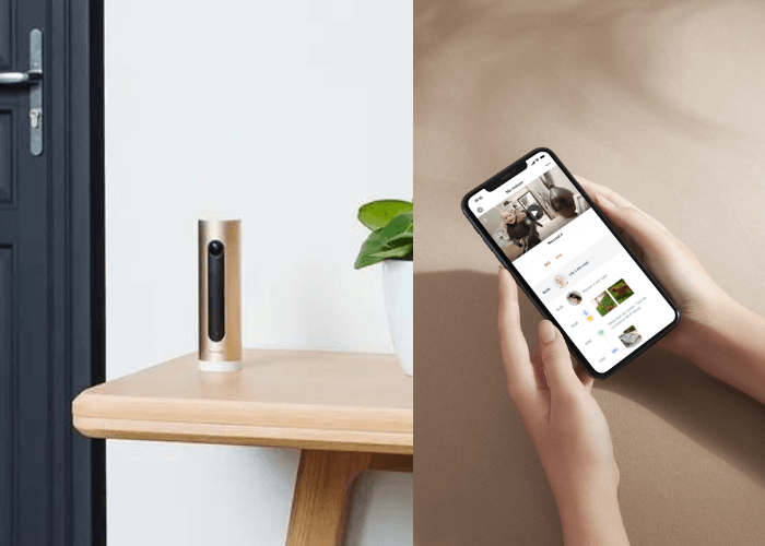 Caméras connectées Intérieure et Extérieure Netatmo pour sécuriser  entièrement chaque logement - professionnel