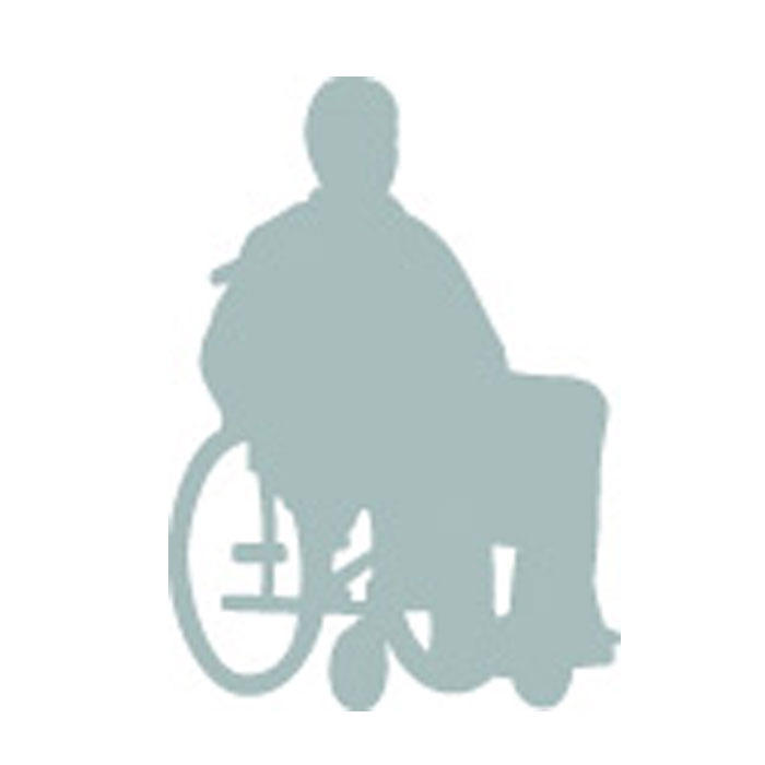 picto fauteuil roulant pmr 700x700